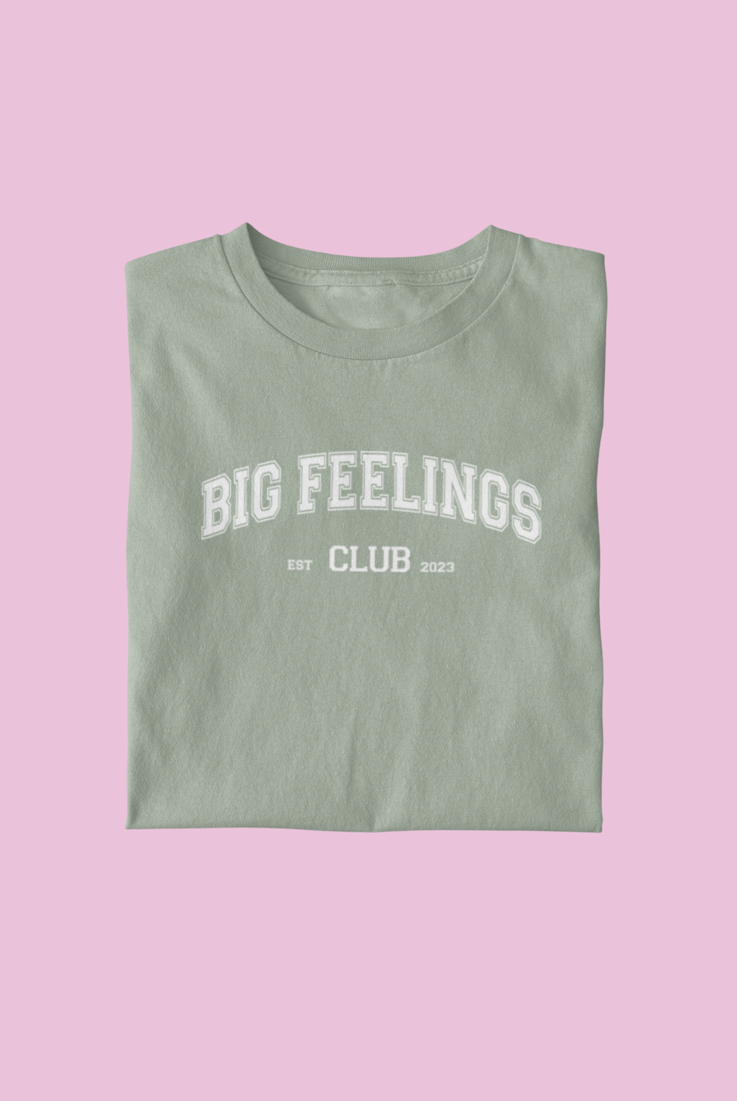 Big Feelings club  - Adult Tee